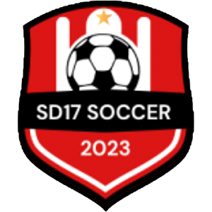 SD17 Soccer Training