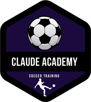 Claude Academy