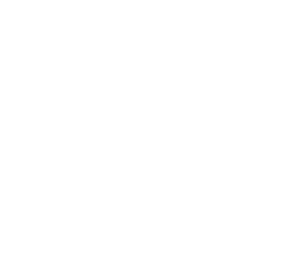 PSP