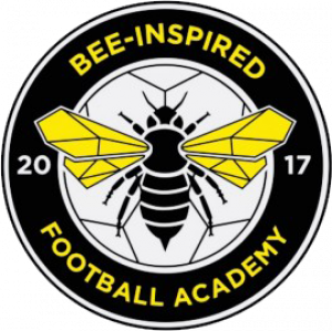 Bee-Inspired Football Academy