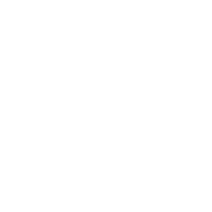 SPE Performance Training