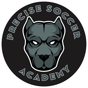 Precise Soccer Academy